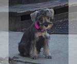 Image preview for Ad Listing. Nickname: Tessa