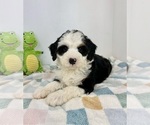 Image preview for Ad Listing. Nickname: Beckham