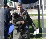 Small Photo #2 Schnauzer (Miniature) Puppy For Sale in Hatvan, Heves, Hungary