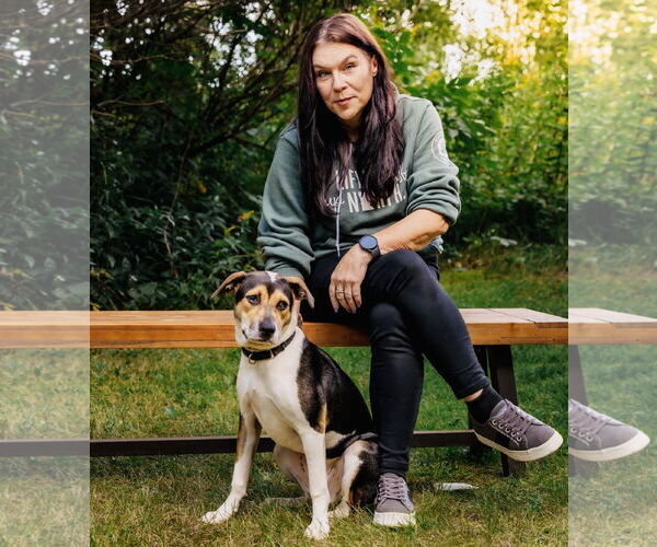 Medium Photo #20 American Staffordshire Terrier-Unknown Mix Puppy For Sale in Princeton, MN, USA