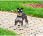 Image preview for Ad Listing. Nickname: Rita