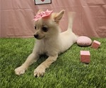 Image preview for Ad Listing. Nickname: Babygirl