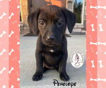 Small #3 Breeder Profile image