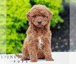 Image preview for Ad Listing. Nickname: Willow