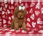 Image preview for Ad Listing. Nickname: Cami