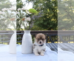 Image preview for Ad Listing. Nickname: Ochre