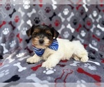Image preview for Ad Listing. Nickname: Tuck