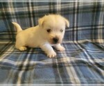Image preview for Ad Listing. Nickname: Gabby