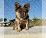 Image preview for Ad Listing. Nickname: ROCKY