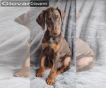 Image preview for Ad Listing. Nickname: Giovanni