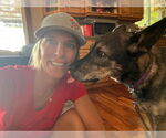 Small #8 German Shepherd Dog Mix