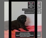 Image preview for Ad Listing. Nickname: Storm