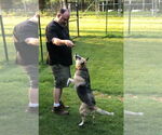 Small #2 Mutt