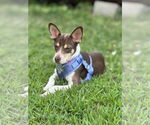 Small #3 Jack Chi