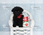 Image preview for Ad Listing. Nickname: AKC MICRO TCP L