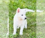 Image preview for Ad Listing. Nickname: Ayla