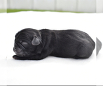 Image preview for Ad Listing. Nickname: Winifred