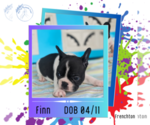 Image preview for Ad Listing. Nickname: Finn