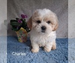 Image preview for Ad Listing. Nickname: Charles
