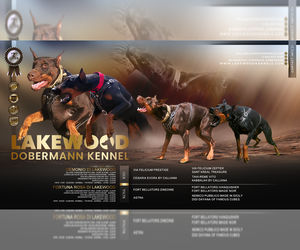 Doberman Pinscher Puppy for Sale in FORT LAUDERDALE, Florida USA