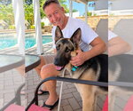 Small #2 German Shepherd Dog