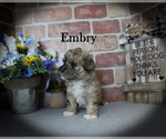 Image preview for Ad Listing. Nickname: Embry