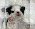 Image preview for Ad Listing. Nickname: marilyn