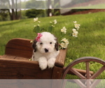 Image preview for Ad Listing. Nickname: Lily