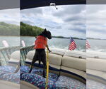 Small #4 Labrador Retriever Mix