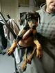 Small Photo #21 Doberman Pinscher Puppy For Sale in SUISUN CITY, CA, USA
