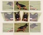 Small #10 German Shepherd Dog