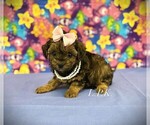Image preview for Ad Listing. Nickname: Kristi