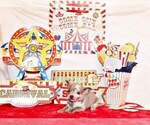 Small Photo #106 Chihuahua Puppy For Sale in CHARLESTON, AR, USA
