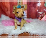 Image preview for Ad Listing. Nickname: Purple bow chi
