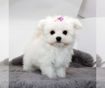 Image preview for Ad Listing. Nickname: Mimi
