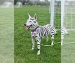 Small #1 Breeder Profile image