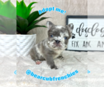 Small #2 French Bulldog