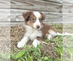 Image preview for Ad Listing. Nickname: Luna
