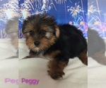 Image preview for Ad Listing. Nickname: Peggy