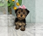 Image preview for Ad Listing. Nickname: Taylor
