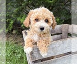 Image preview for Ad Listing. Nickname: Jetta