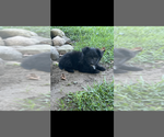 Image preview for Ad Listing. Nickname: Half Pint