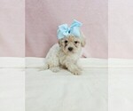 Image preview for Ad Listing. Nickname: liam