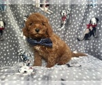 Image preview for Ad Listing. Nickname: Dude