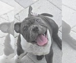 Image preview for Ad Listing. Nickname: Moon