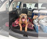 Small #3 Breeder Profile image
