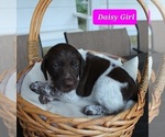 Image preview for Ad Listing. Nickname: Daisy Girl