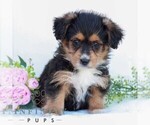 Image preview for Ad Listing. Nickname: Elaine