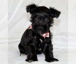 Image preview for Ad Listing. Nickname: Stormy