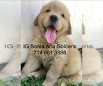 Image preview for Ad Listing. Nickname: Happy Girl